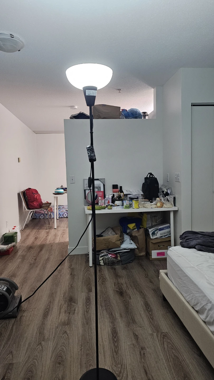 Floor Lamp with Remote