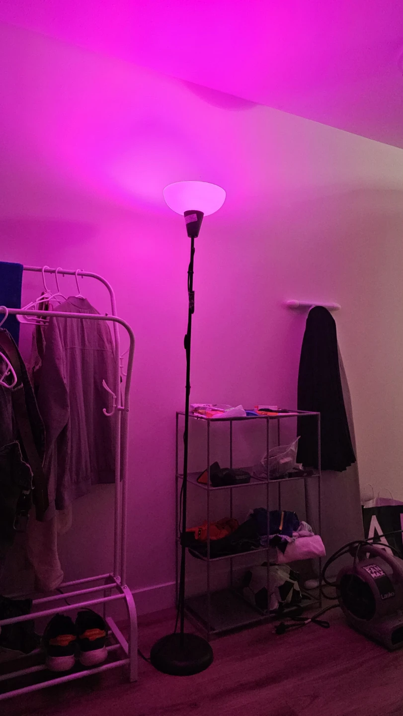 Floor Lamp with Remote - photo 3