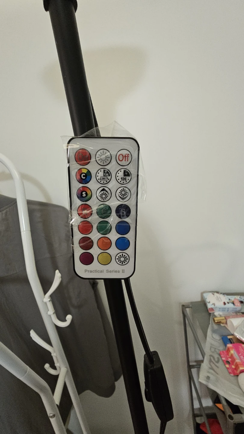 Floor Lamp with Remote - photo 4