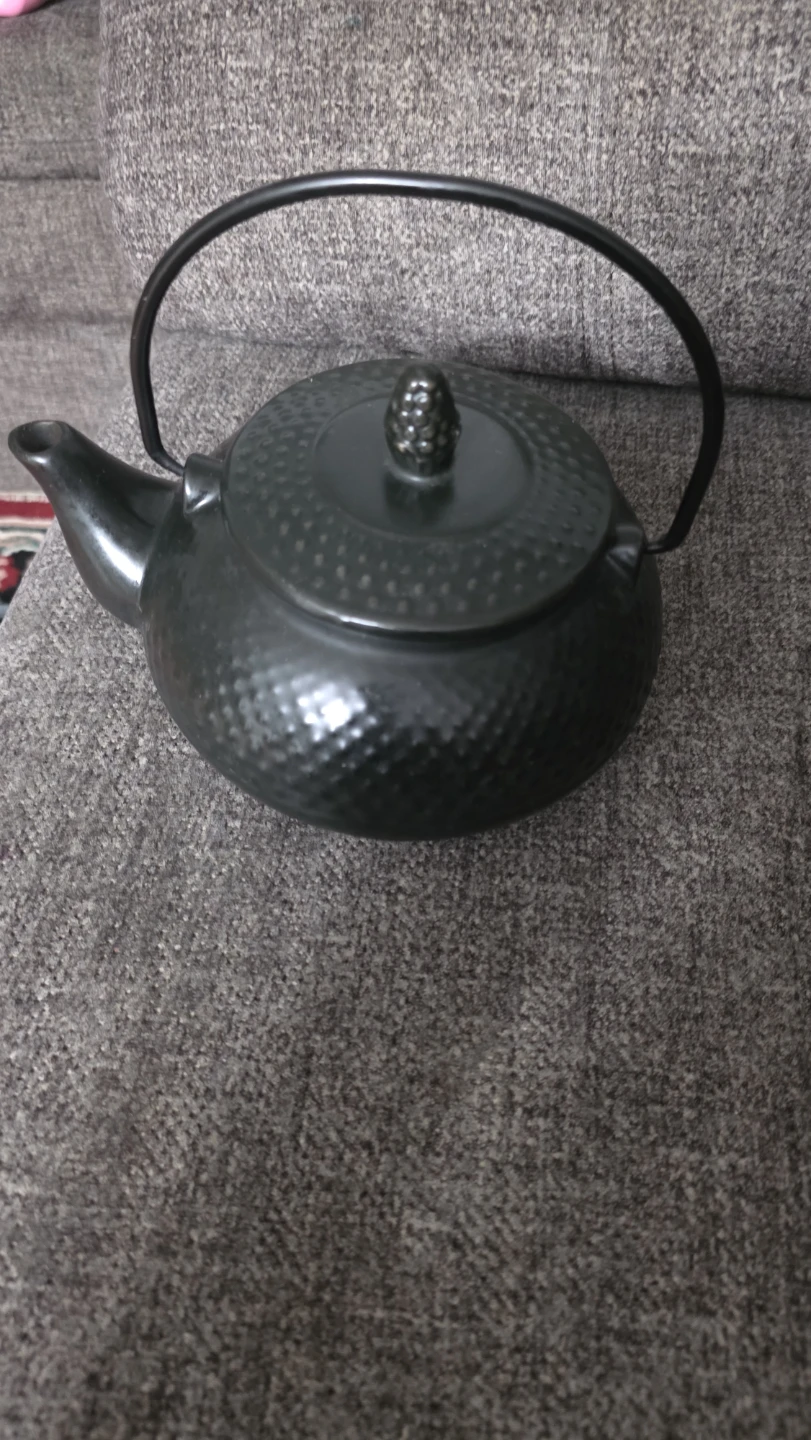 Black Textured Cast Iron Teapot with Infuser