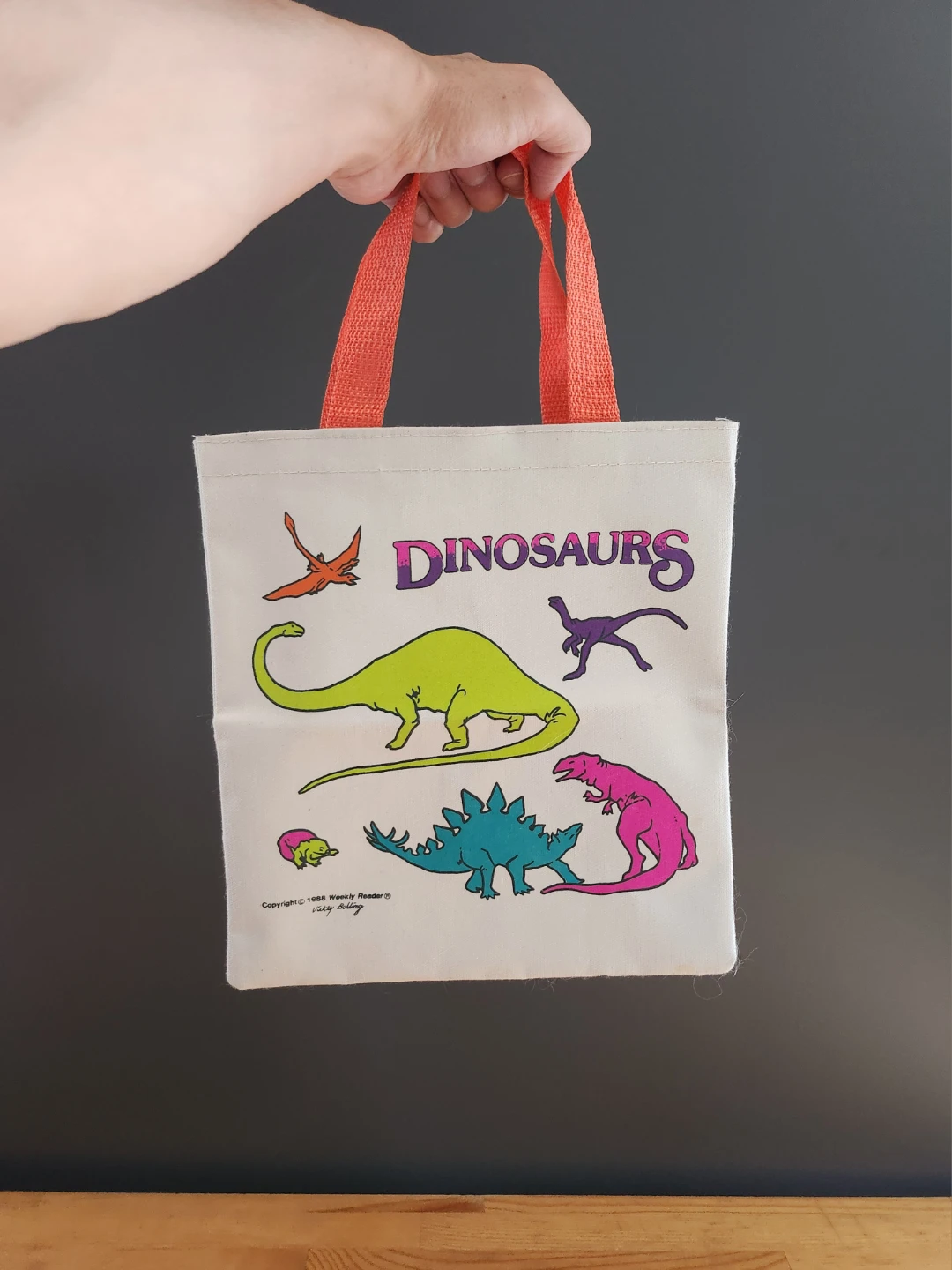 Vintage 1988 Weekly Reader Dinosaurs Tote Bag - photo 5