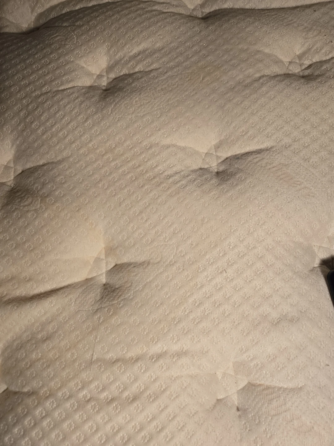 Lifestyles Adjustable Bed with Remote and Manual - photo 3