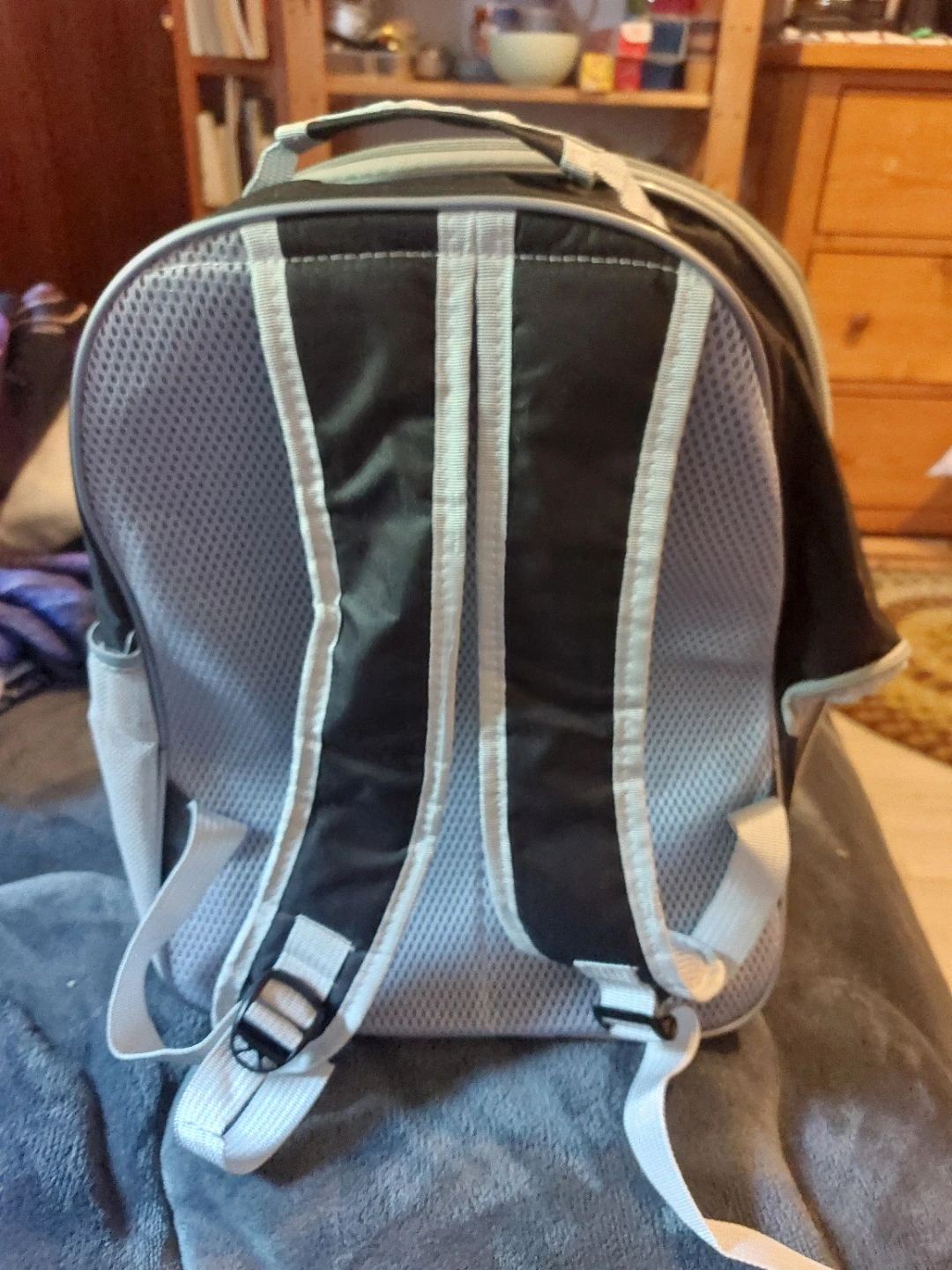 Pet Carrier Backpack with Bubble Dome - photo 2