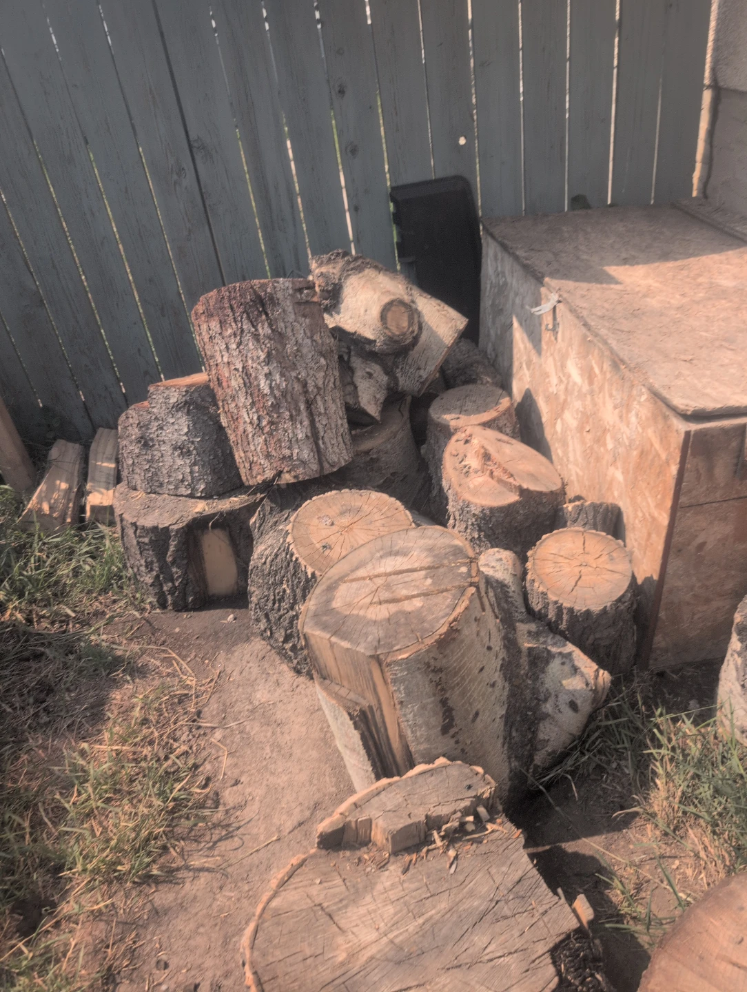 Bundle of Firewood