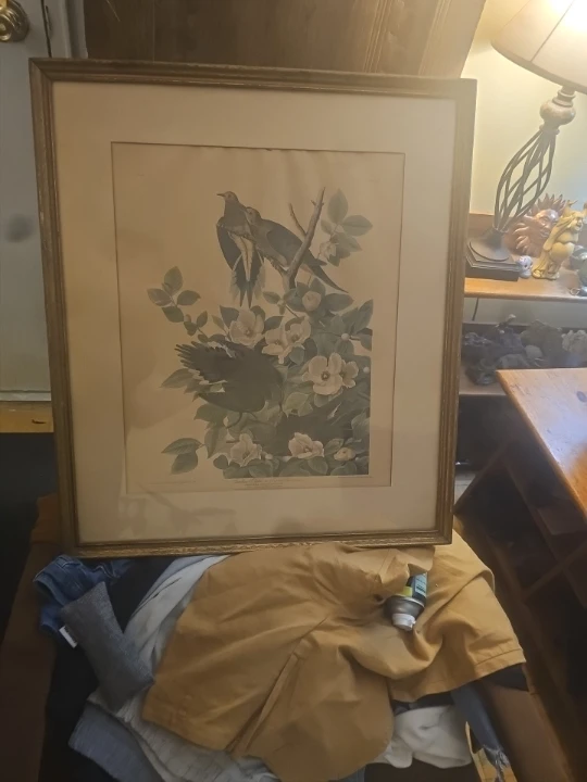 Framed Bird Art Print - photo 2