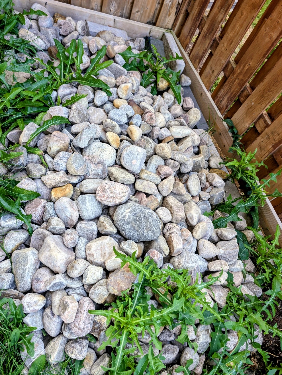 Decorative River Rocks