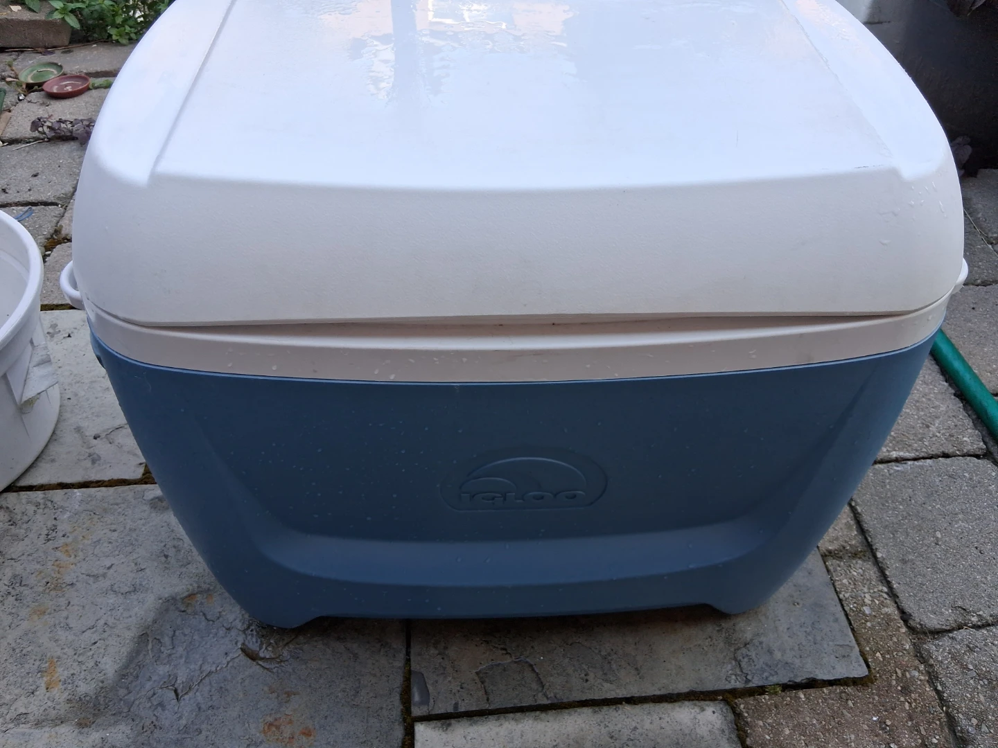 Igloo Cooler with Wheels and Handle