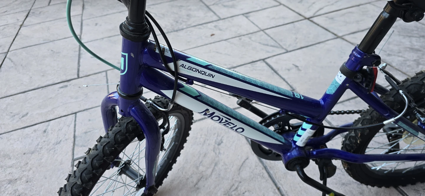 Movelo Algonquin Kids Bike - photo 2