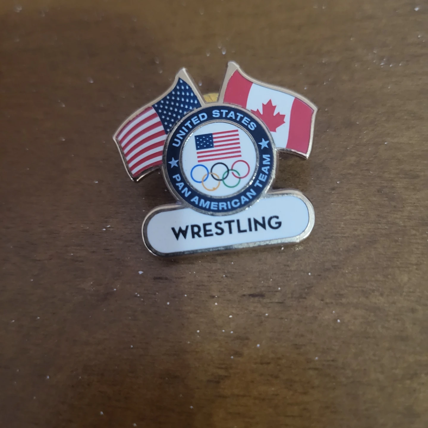 Pan American Wrestling Team Pin