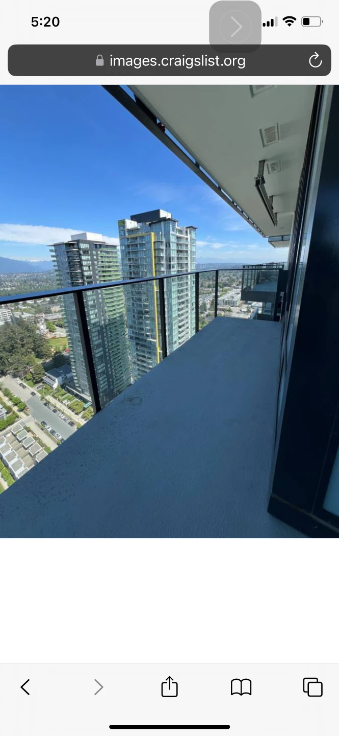 Spacious Amazing View Metrotown Condo - photo 5