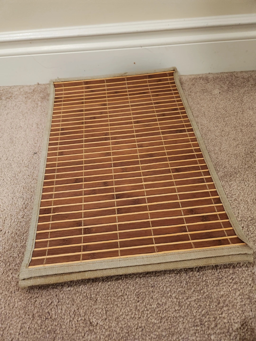 Set of 10  Bamboo Table Placemats - photo 2
