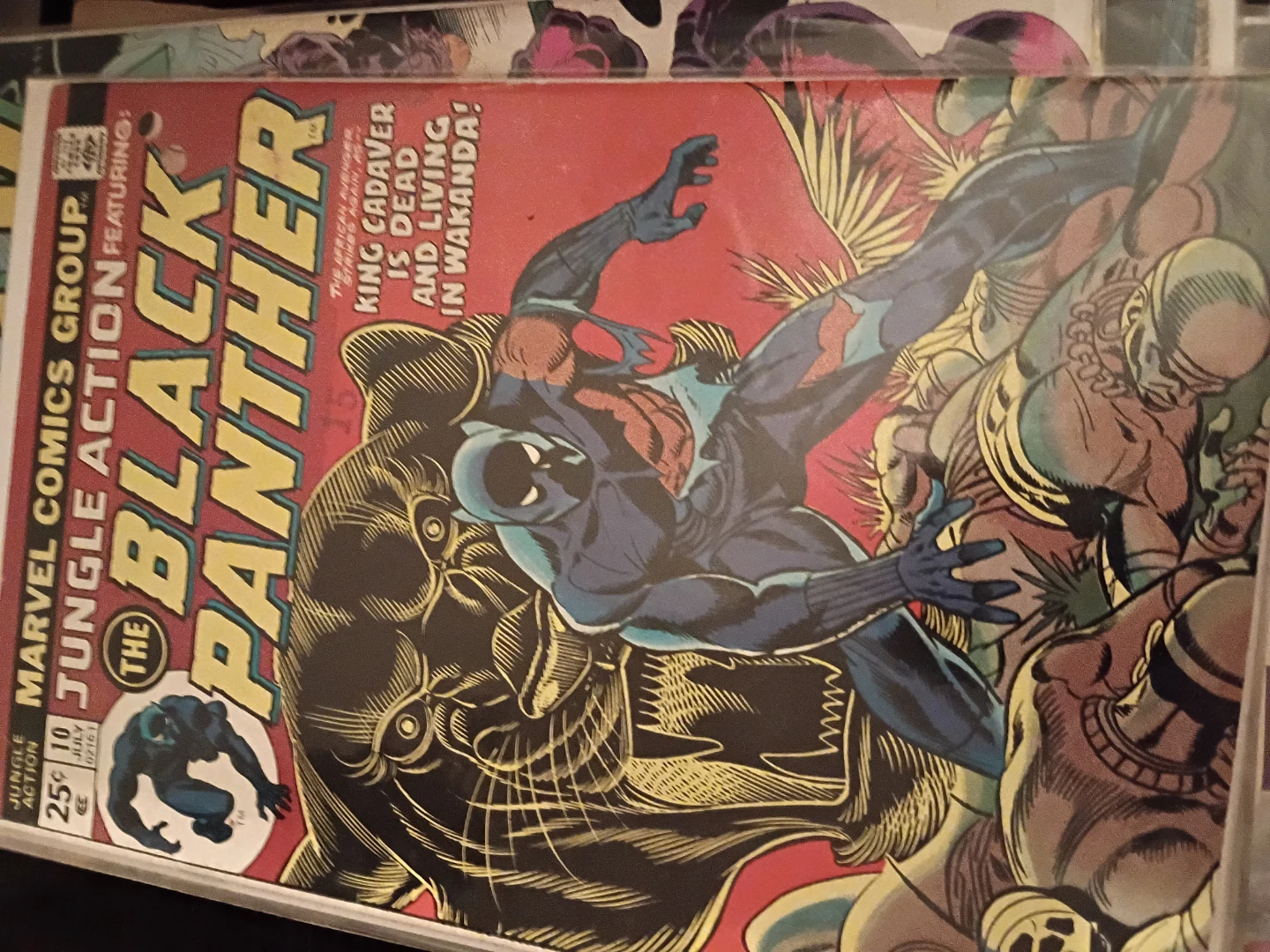 The Black Panther Lot