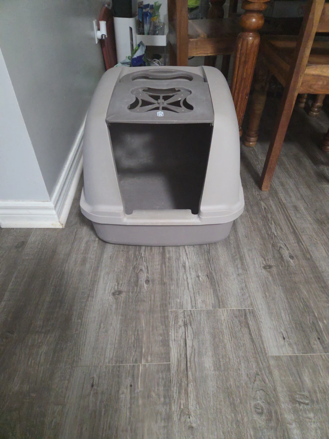 Cat Litter Box