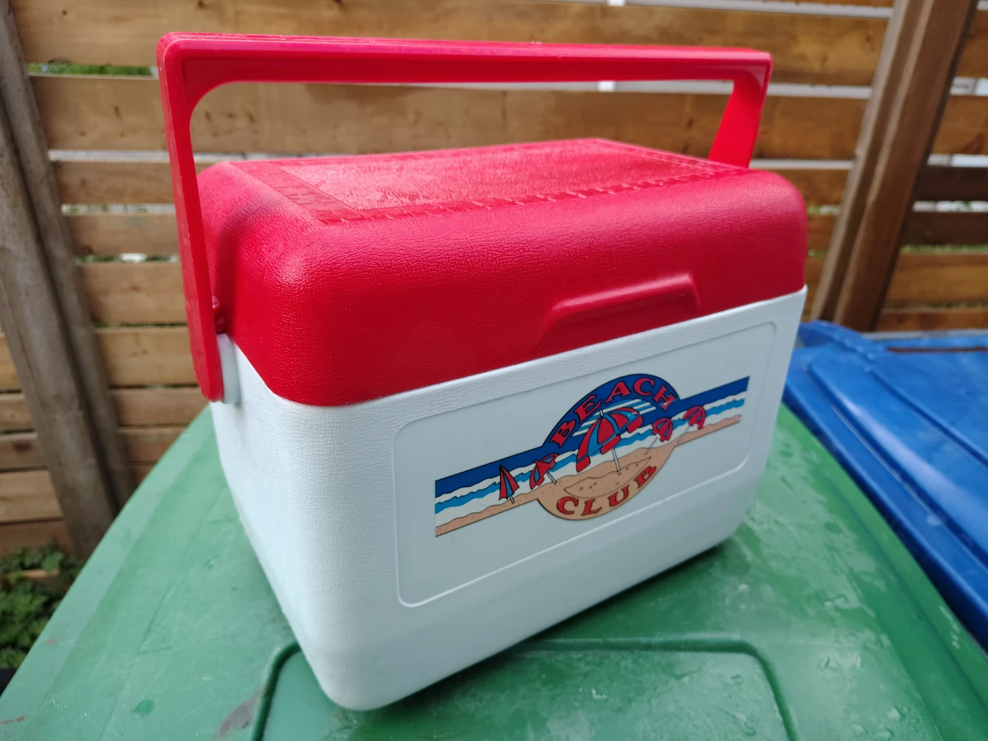 16 Quart Rubbermaid Picnic Cooler with Ice Pack