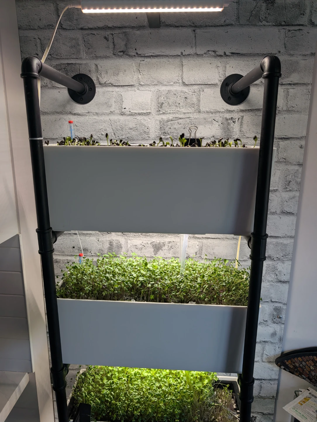 Vertical Hydroponic Garden System with LED Grow Light - photo 3