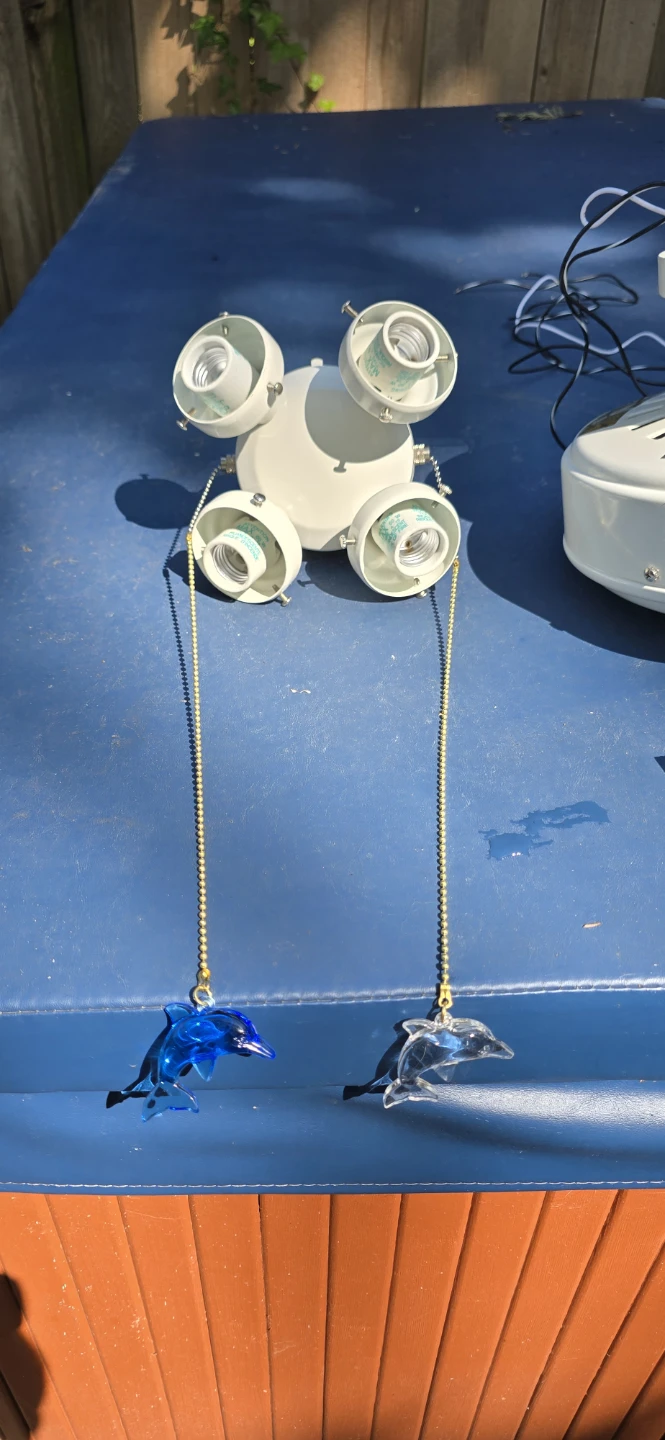 Hunter Ceiling Fan with Light Kit - photo 4