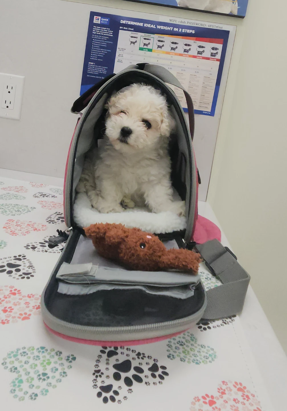Pet Carrier Bag - photo 2