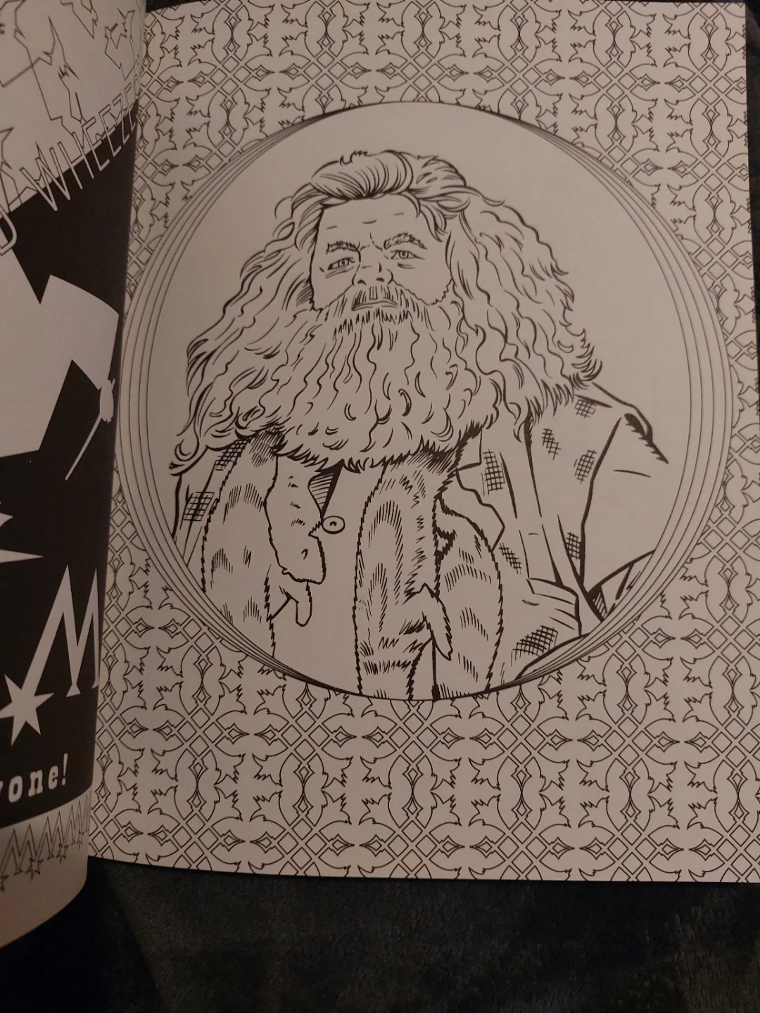Harry Potter Celebratory Edition Coloring Book - photo 4