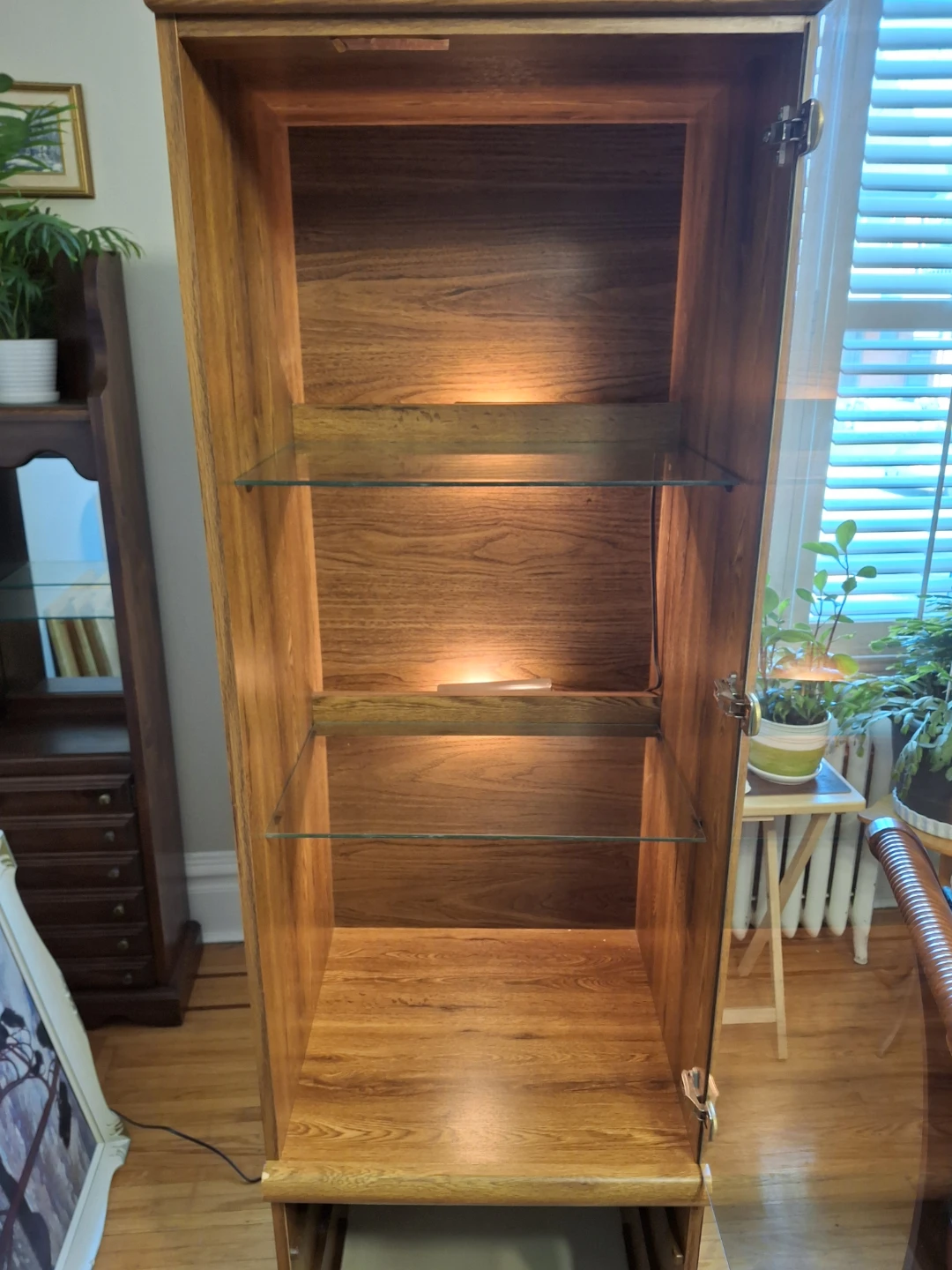 Wooden Display Cabinet with Glass Door and Light - photo 5