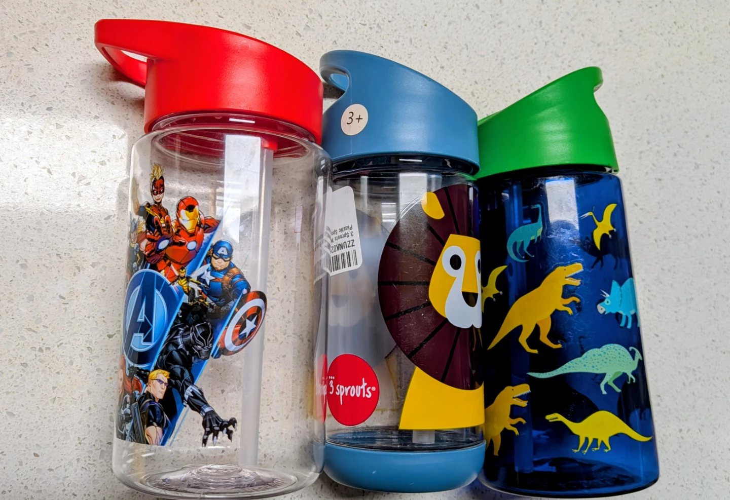 Kids Water Bottles - Marvel, Lion, Dinosaur