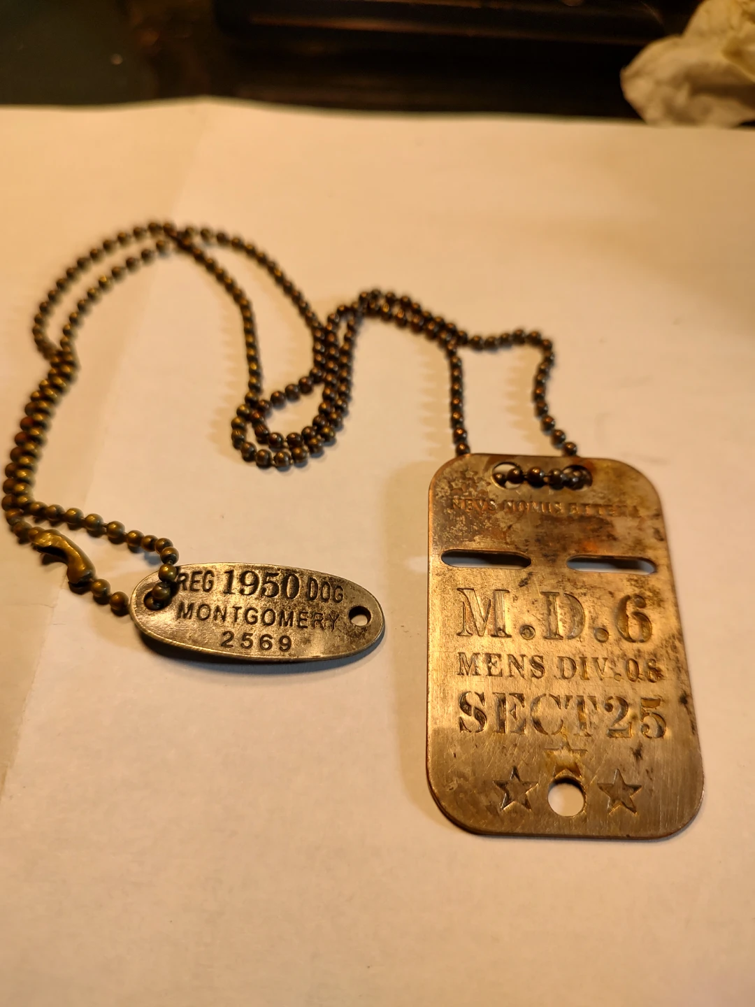 1950 Montgomery Dog Tag, downtown Toronto