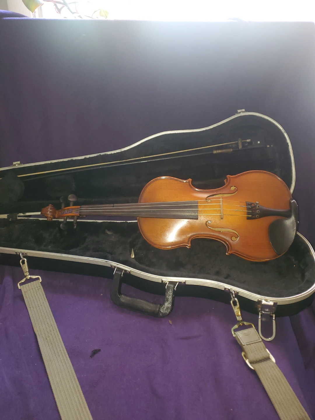 Violin with Case and Bow