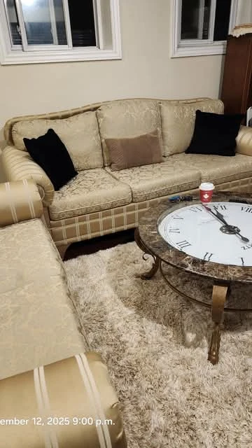 Elegant Sofa - 100.00