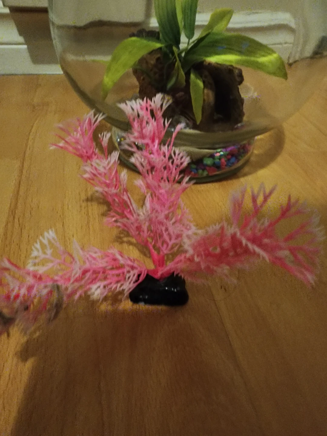 Fish tank bowl for sale - photo 3