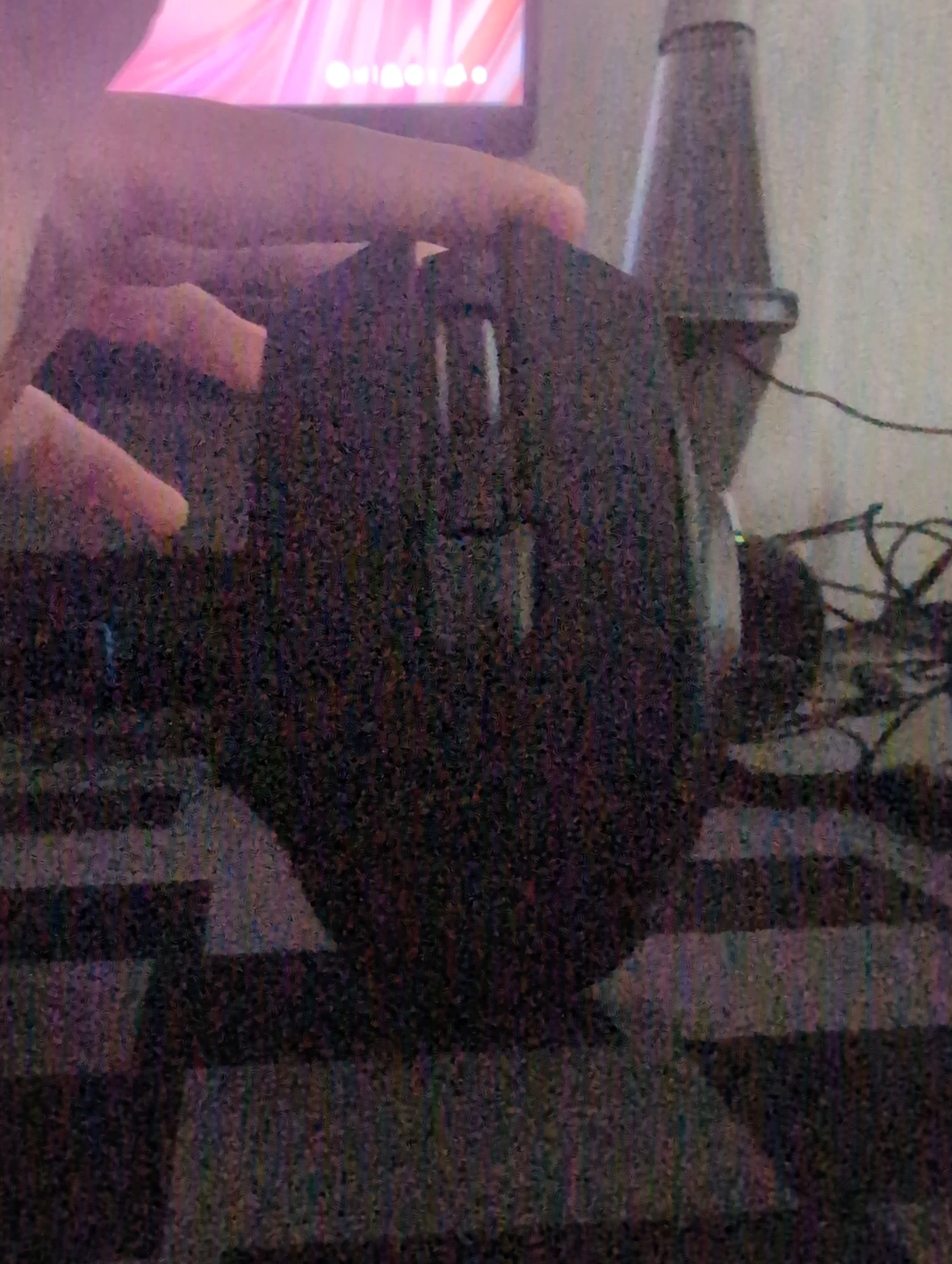 Mouse