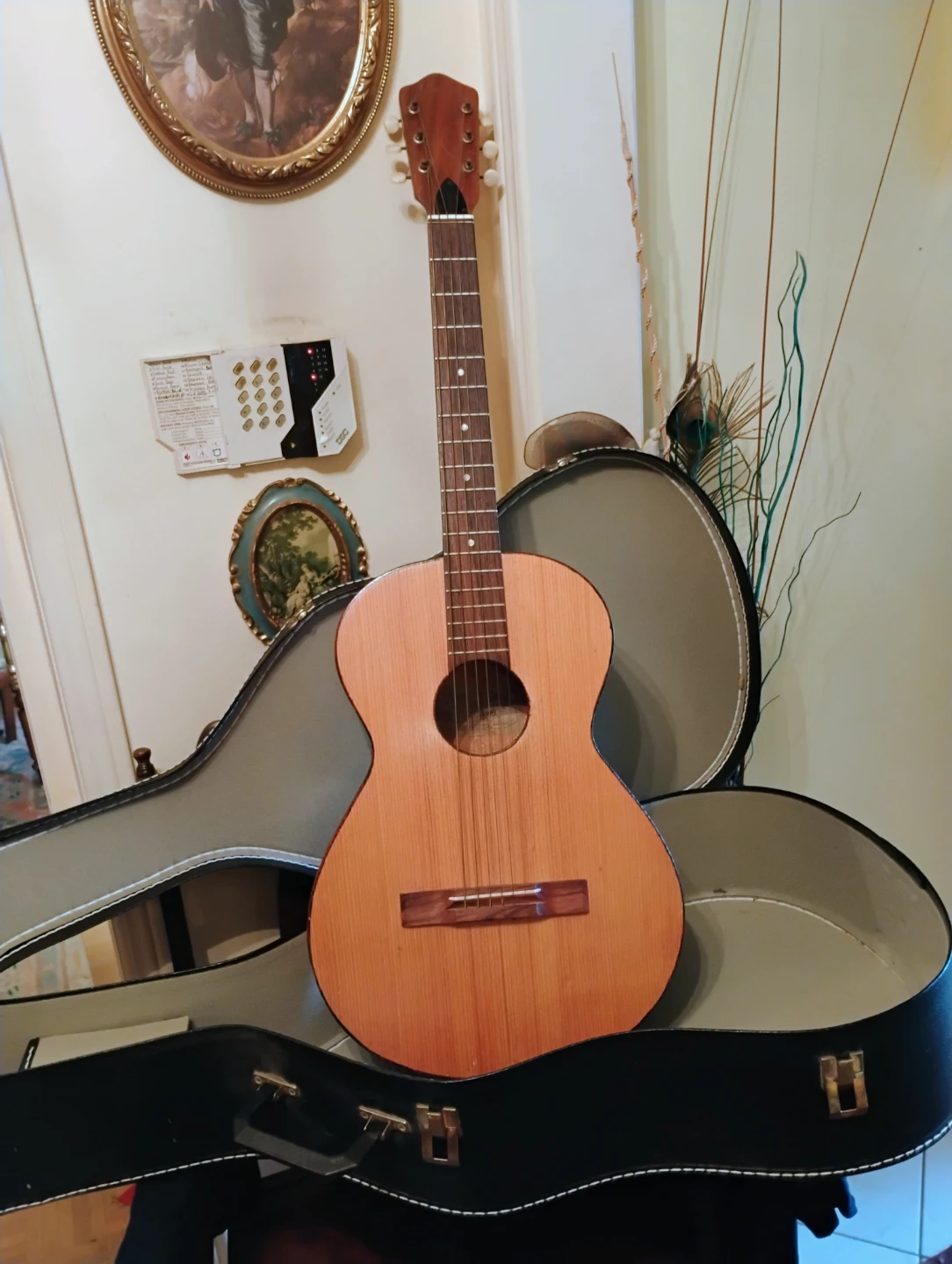 Vintage guitar