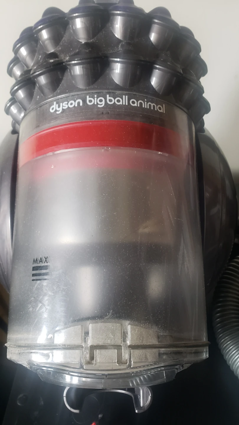 Dyson Big Ball Animal Vacuum Cleaner