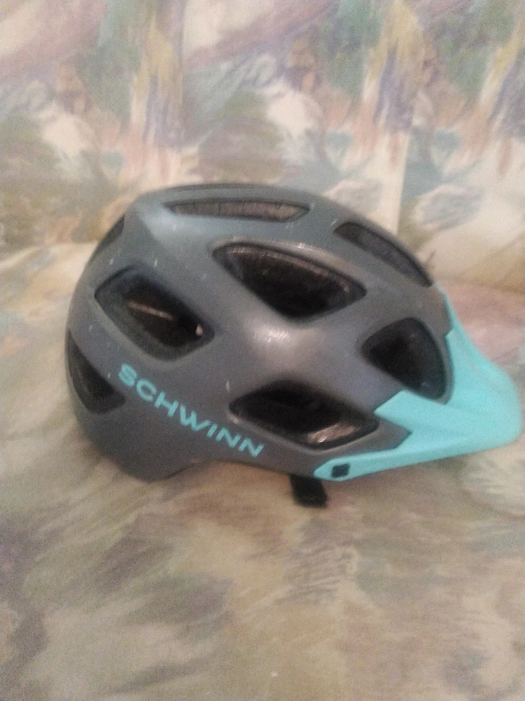 Schwinn Bicycle Helmet