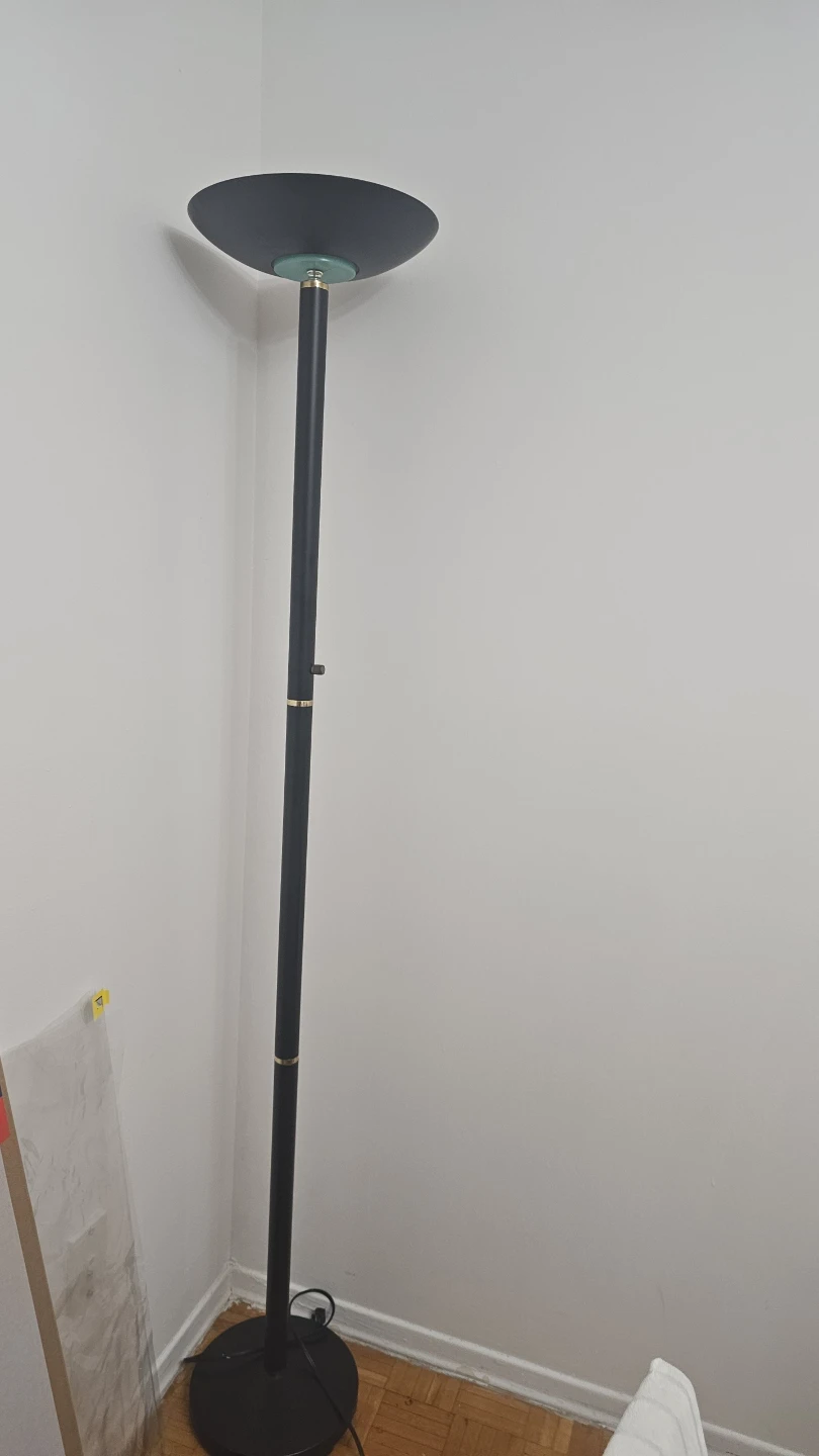 Black Floor Lamp with Frosted Shade