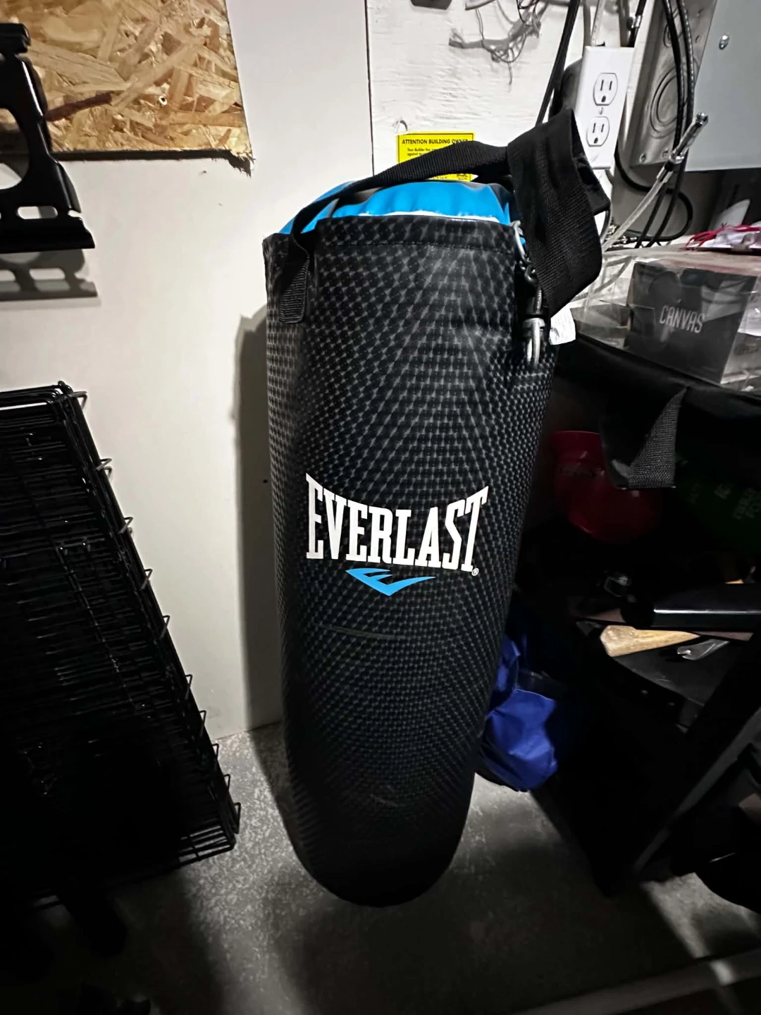 Everlast Punching Bag