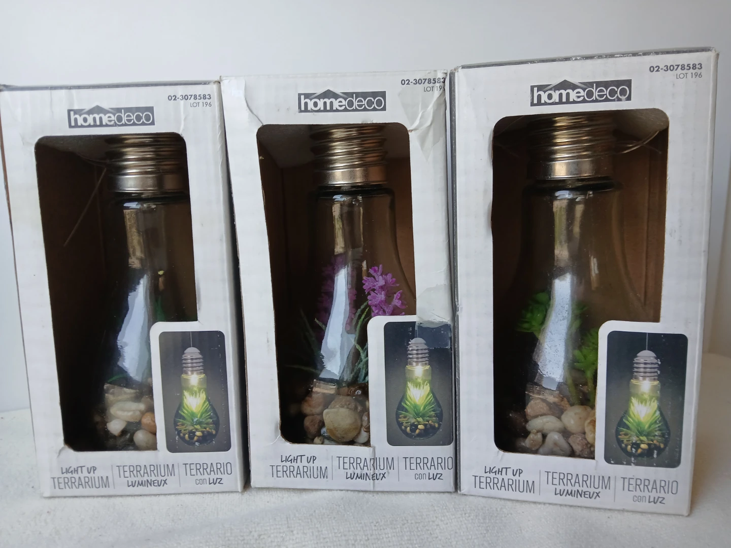 Giftable! 3 Homedeco Light Up Terrarium available. $8 each firm.