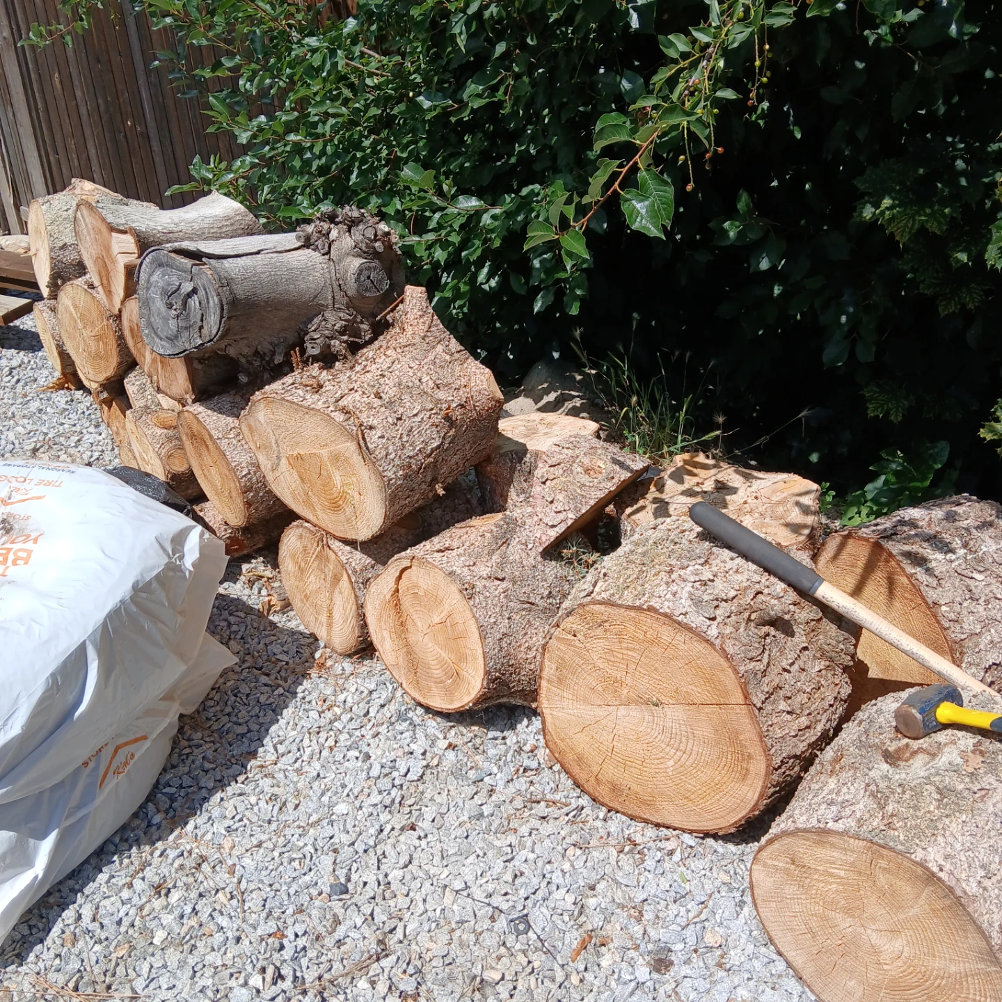 Free firewood - photo 2