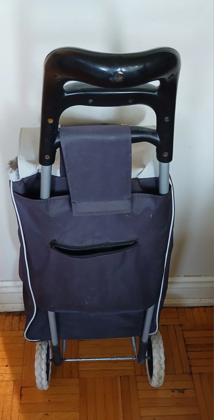 Rolling Shopping Cart Trolley - photo 2