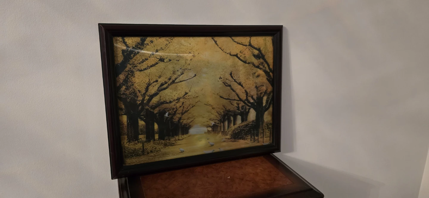 Vintage 90s Holographic "Changing Image" 3D Lenticular Art. - photo 4