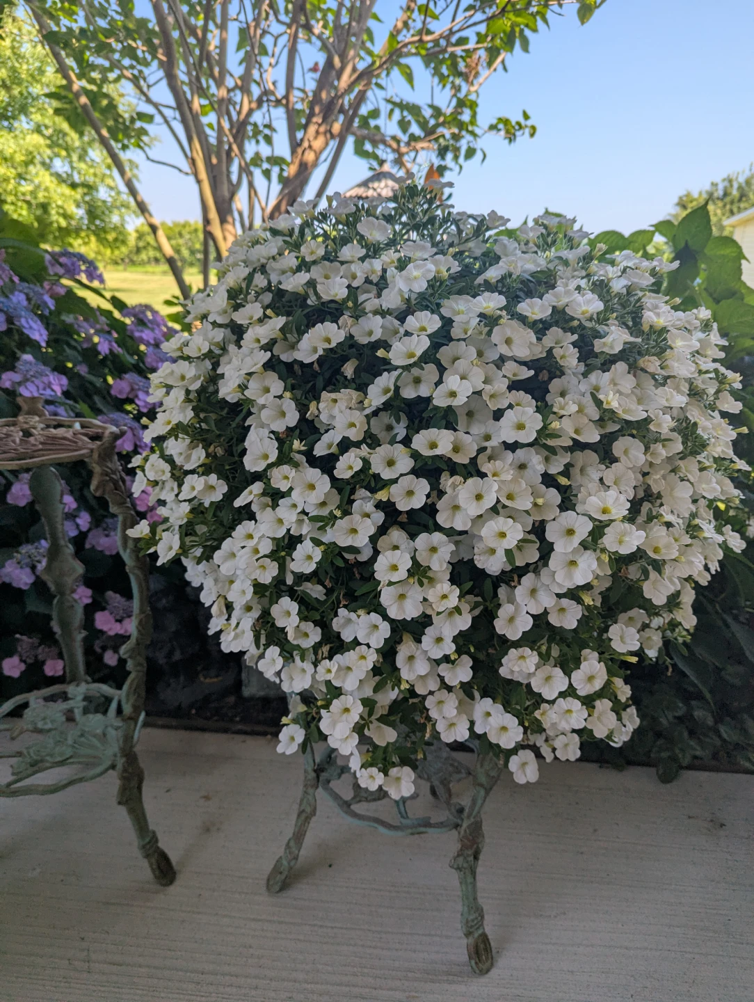 Ornate Cast Iron Plant Stand - photo 3