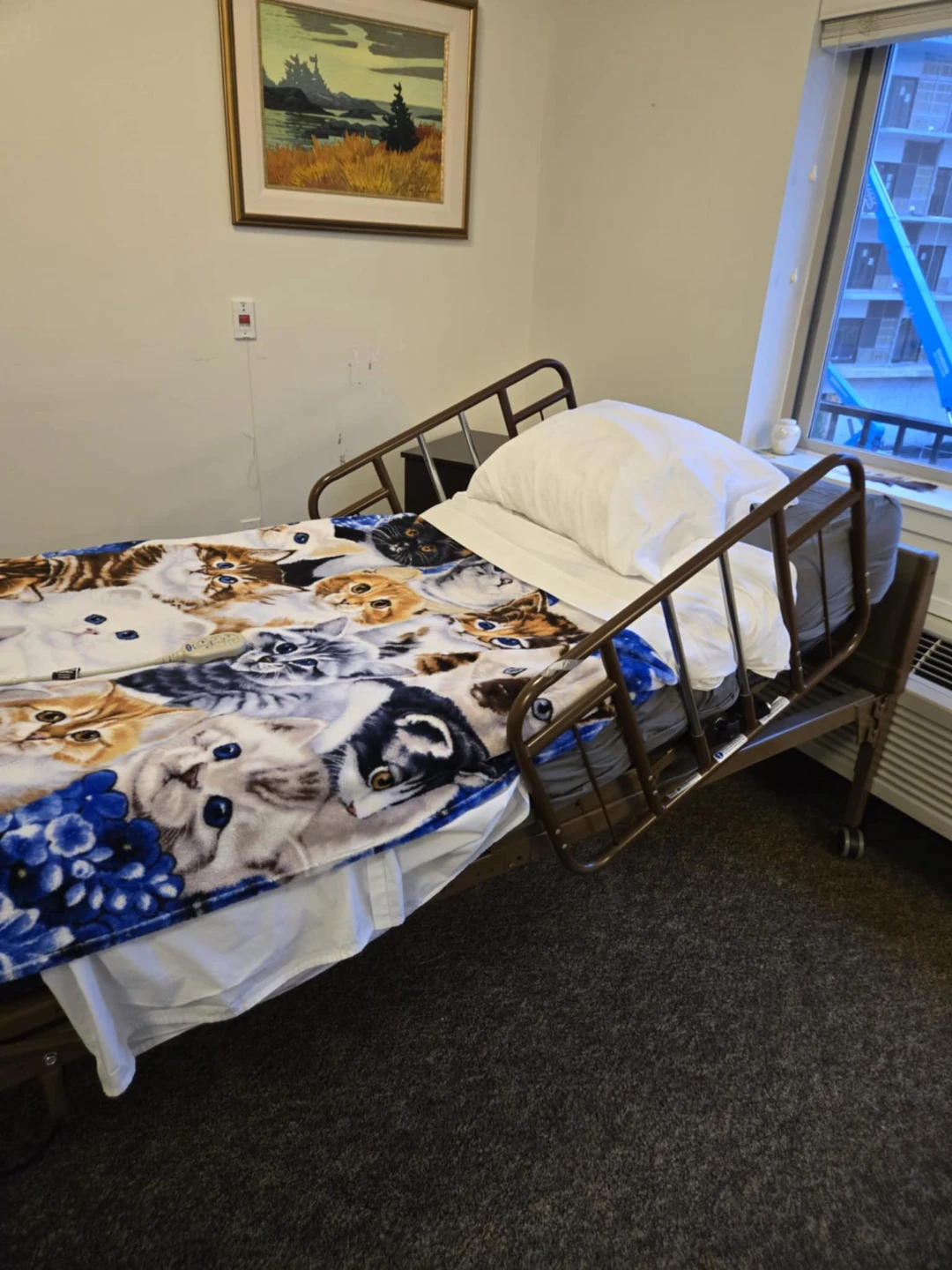 Adjustable Hospital Bed - photo 2