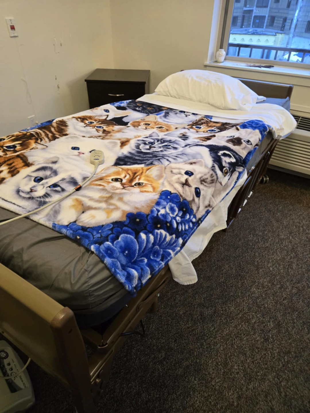 Adjustable Hospital Bed - photo 4