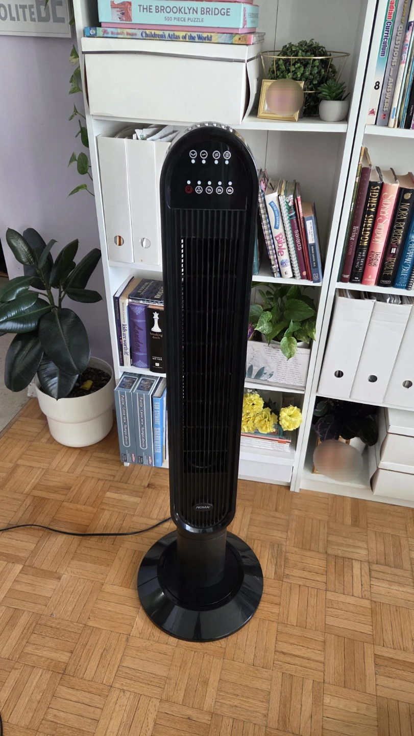 Black Noma Tower Fan
