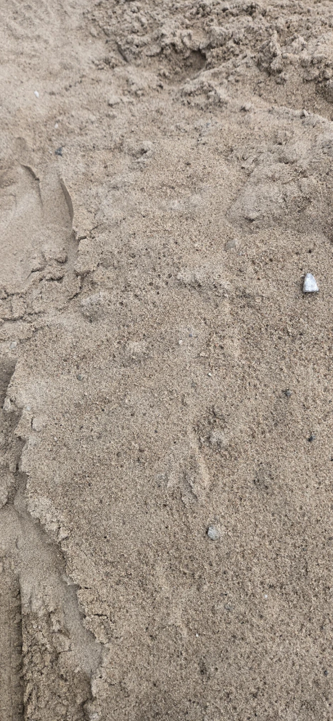 FREE! Loose pile of sand (~ 1 yard)