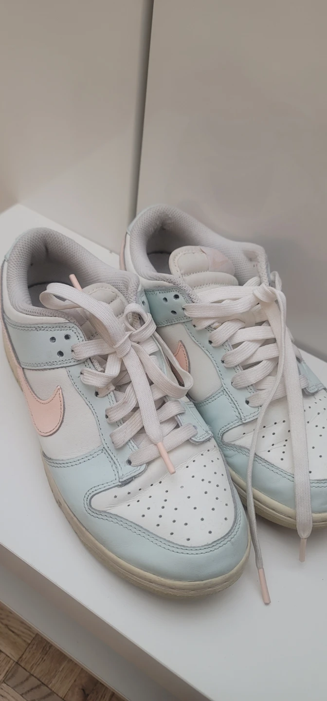 Nike Dunk Low Sneakers