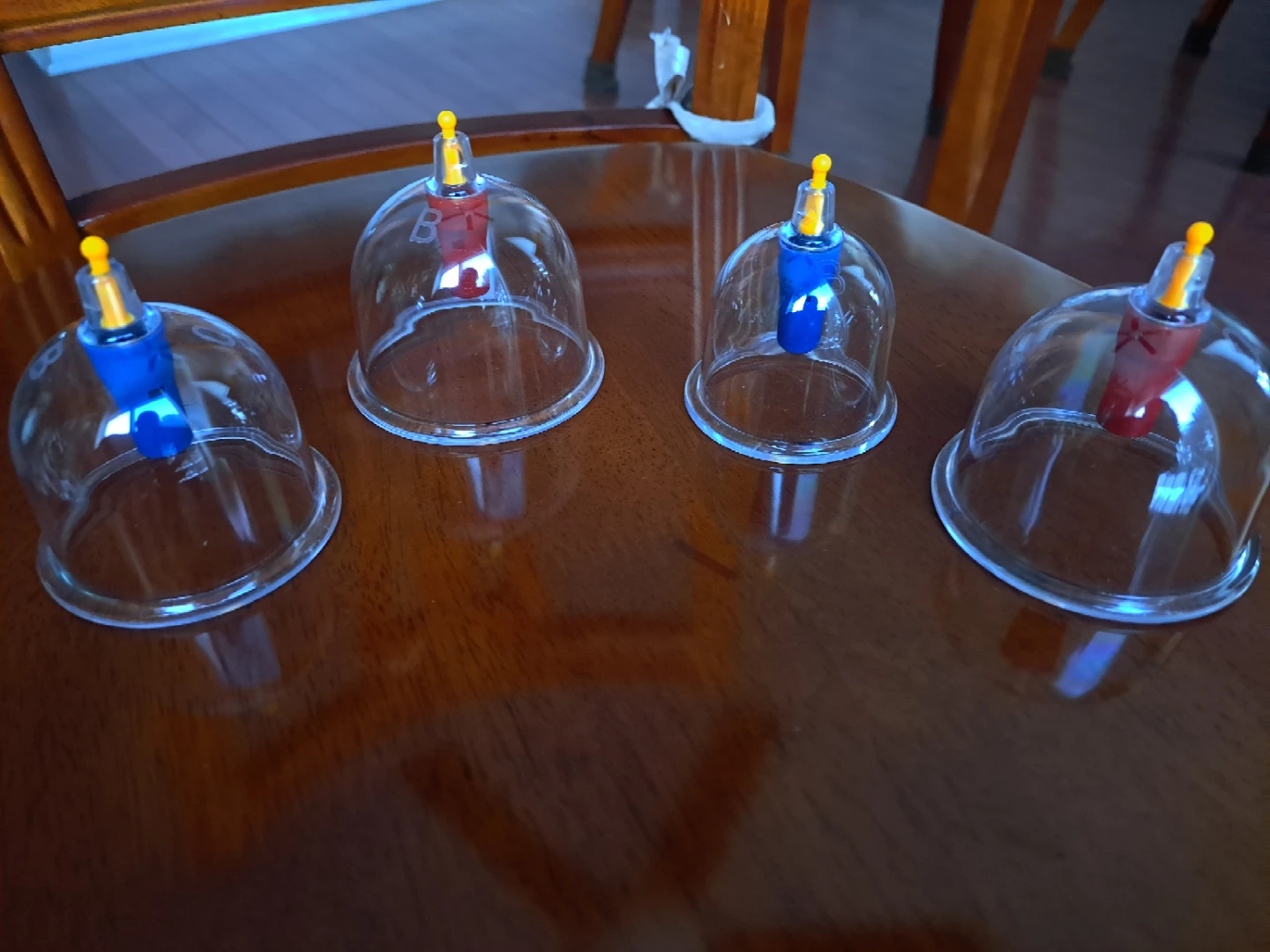 Vacuum Cupping Apparatus Set - photo 3