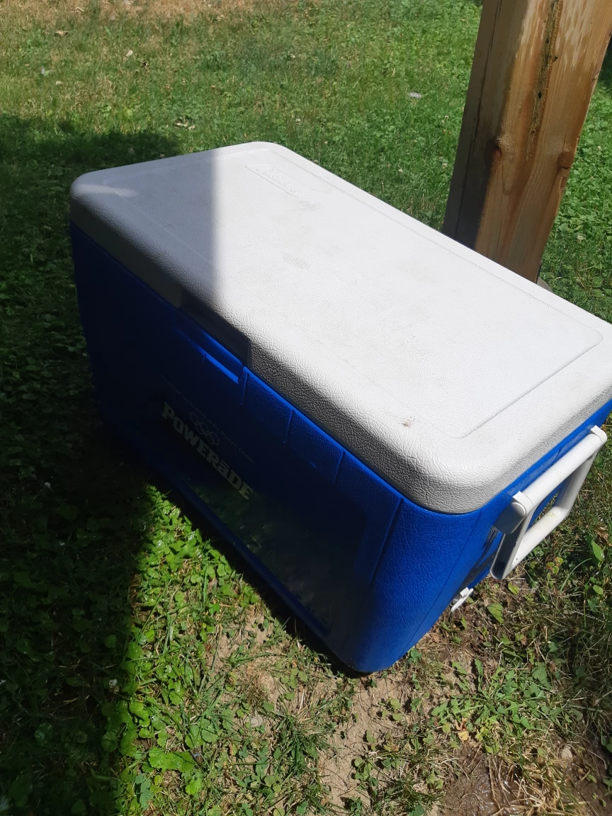 colman camping Cooler