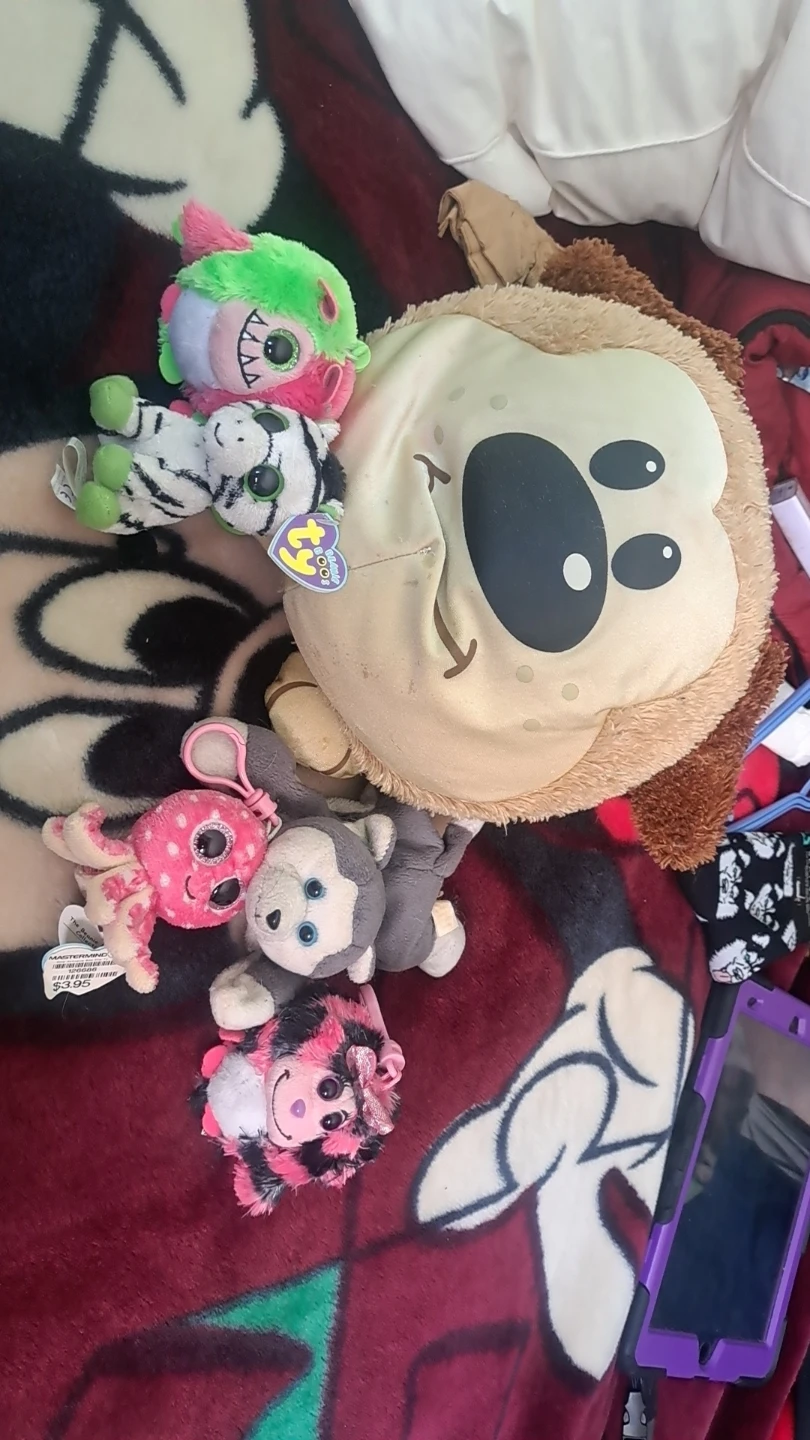 Free Ty Beanie Boos Plush Toys