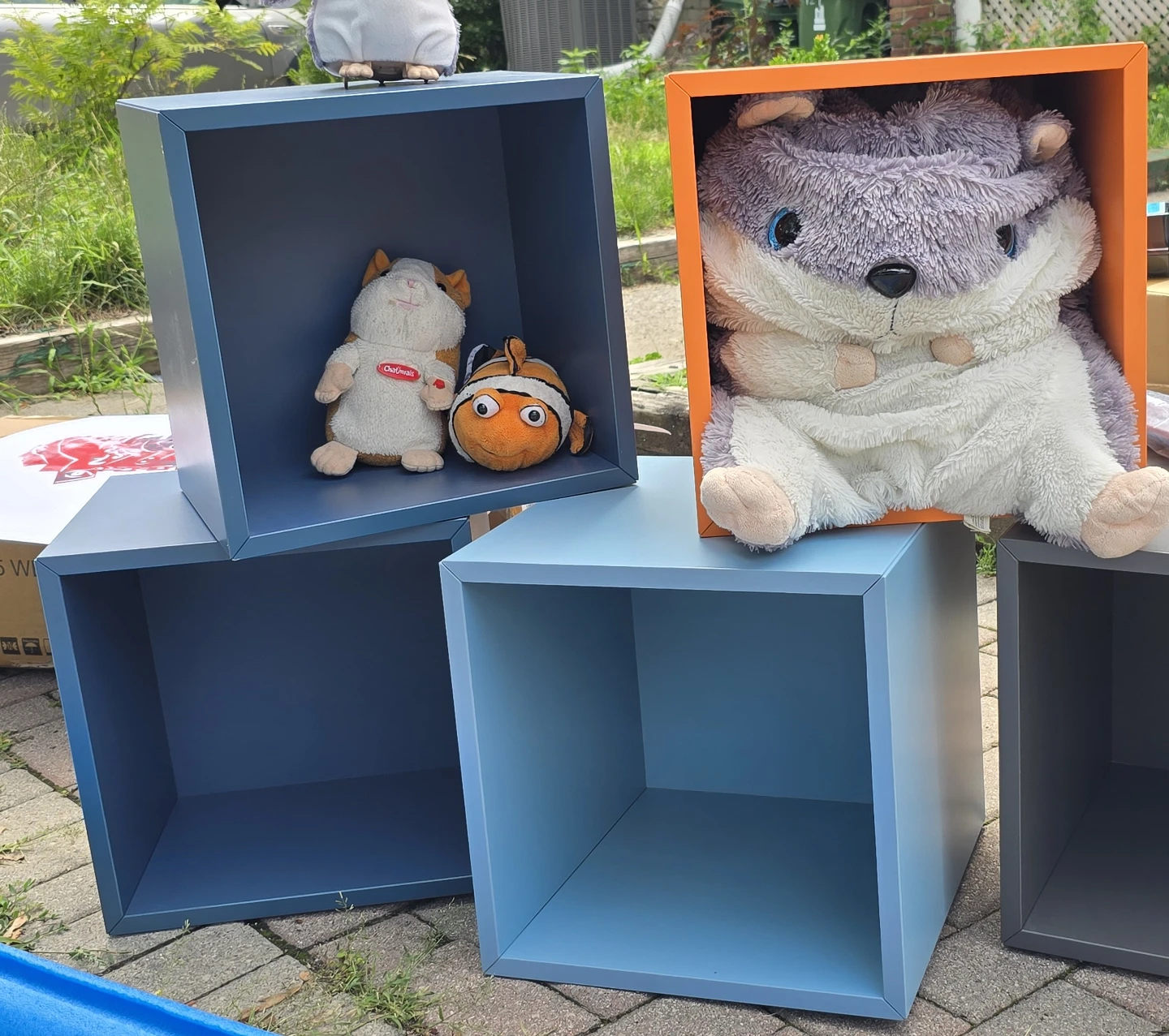 Cube Storage Shelves Set