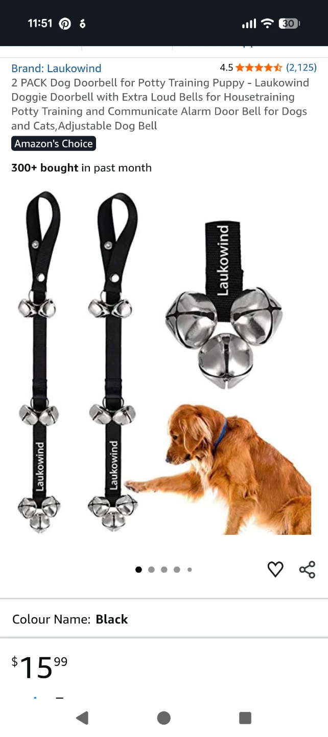 Dog Potty Training Doorbell with Loud Bells - photo 2