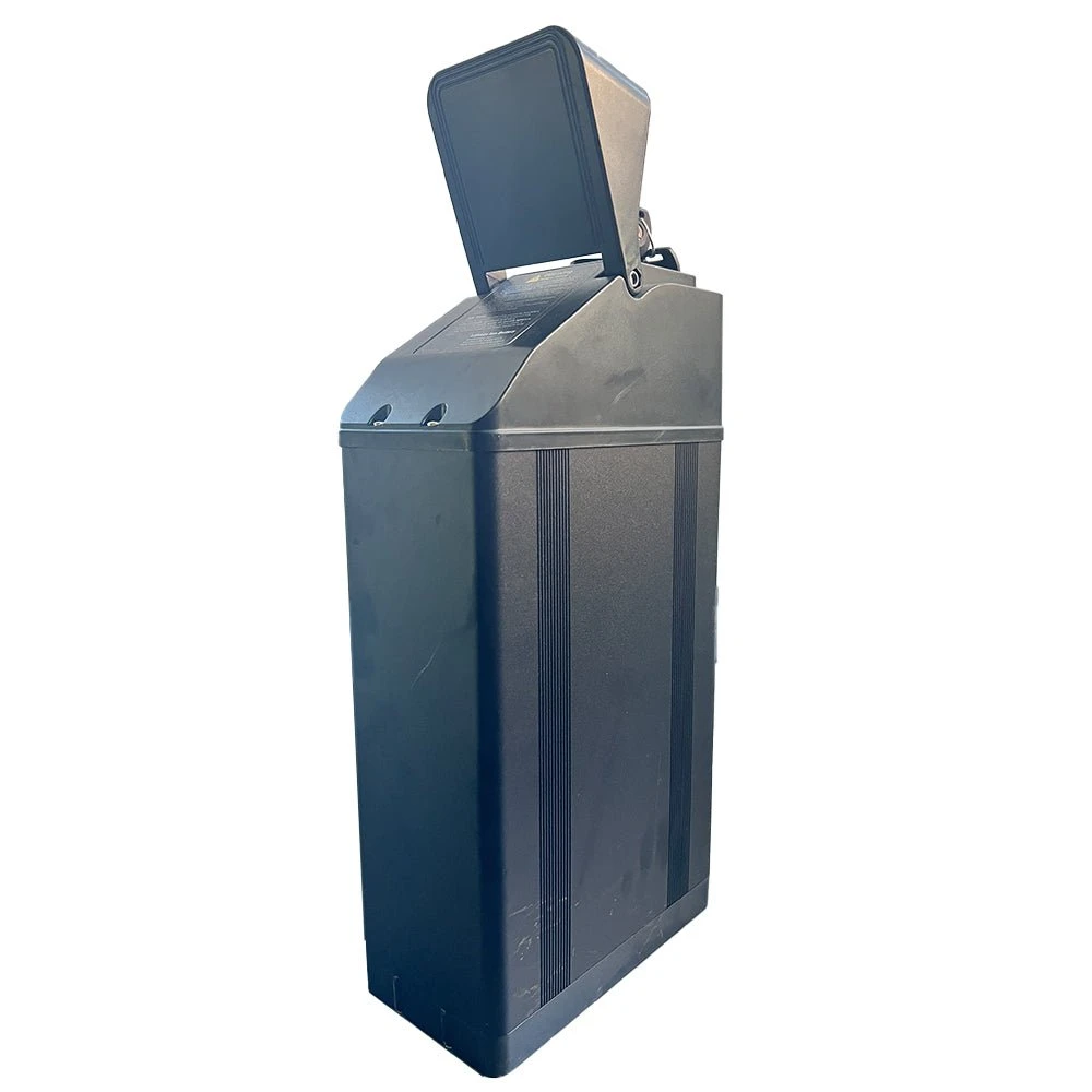 Freego x2 pro 60V 30Ah Lithium Battery